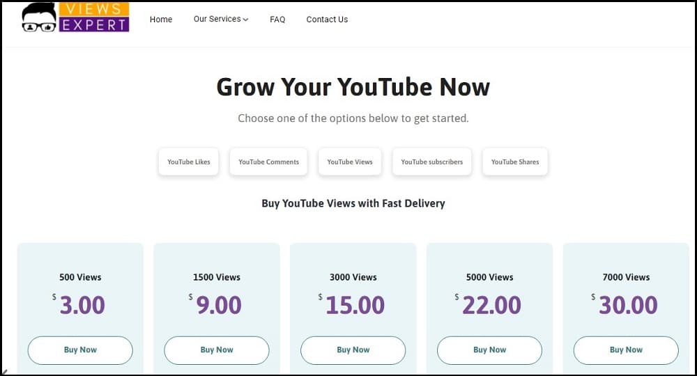 Buy Youtube Promotion for ViewsExpert