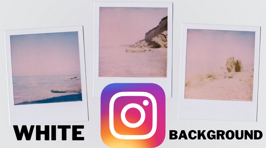 Ways To Add White Background To Your Instagram Photo 