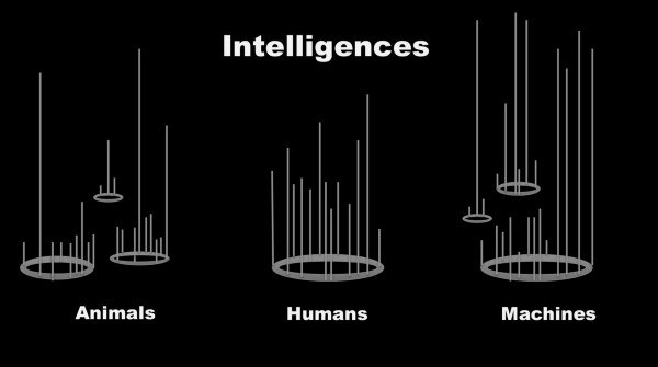 Dimensions of intelligence