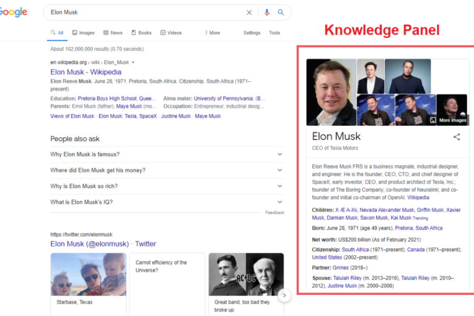 Google knowledge panel